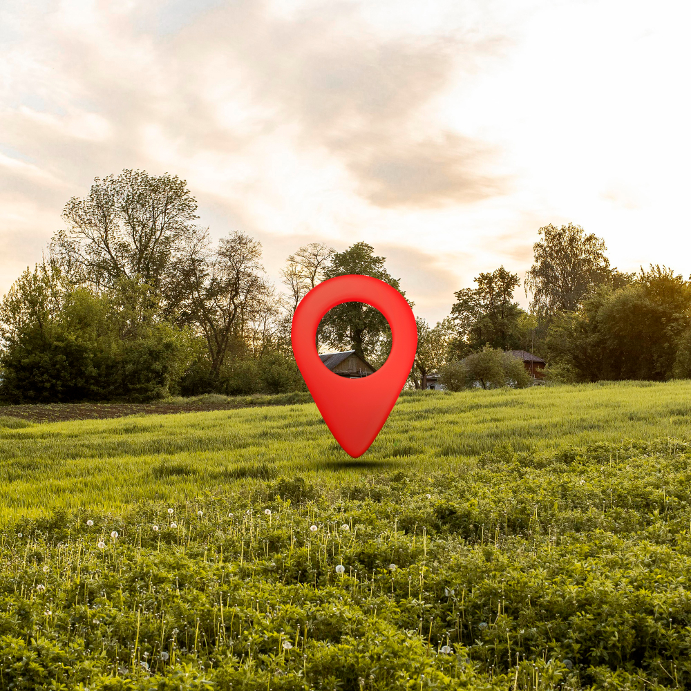 Terenuri de vânzare în Craiova